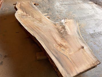 Opruiming:7X Boomstambladen, complete partij 650,- REF 772, Nieuw, Ophalen of Verzenden, 250 tot 300 cm, Plank