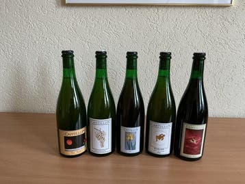 Cantillon - Fou Foune, Iris, Vigneronne, Gueuze 1900,, Nieuw