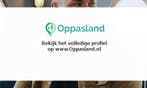 Ik ben Bart, 27 jaar oud en ik zoek oppaswerk in Apeldoorn.