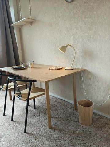 Kamer te huur in Leiden - 14 m² - 1 kamer(s), Huizen en Kamers, Leiden