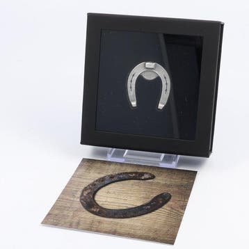Palau. 5 Dollars 2021 - Lucky Horseshoe 1 Oz (Zonder