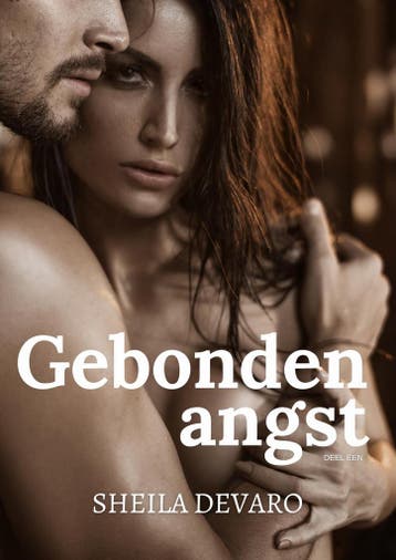 Gebonden ansgt - Sheila Devaro 9789492792402, Verzenden, Zo goed als nieuw, Sheila Devaro