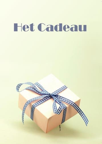 Het cadeau 9789462662117, Boeken, Verzenden, Zo goed als nieuw