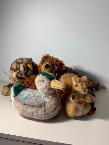 Steiff - Speelgoed Tiger, Bear, Squirrel, Duck - Lot of 4 x
