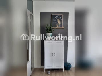 Voorhof: Ruime flat met 3 kamers (Delft)