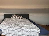 Studio Sint Nicolaasstraat in Maastricht, Overige soorten, Limburg