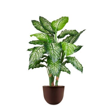 Dieffenbachia kunstplant, H115cm, Huis en Inrichting, Kamerplanten, Ophalen of Verzenden, Overige soorten, 100 tot 150 cm