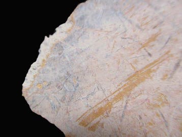 Oud-Romeins Fresco met marmeren sokkel ontdekt in de 19e