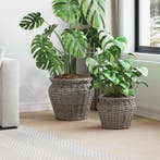 vidaXL Plantenmand met opslag 2 pcs Grijs Lacak Riet, Verzenden, Nieuw