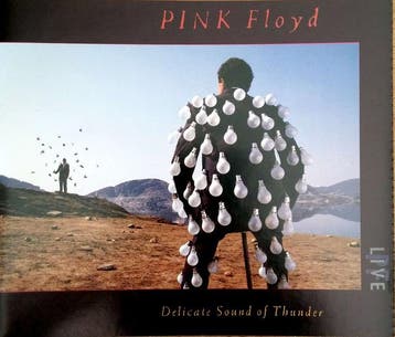 cd - Pink Floyd - Delicate Sound Of Thunder, Verzenden, Zo goed als nieuw