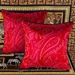 ETRO Home - Nieuwe set van twee - Kussen, Antiek en Kunst