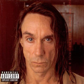 cd - Iggy Pop - Avenue B, Verzenden, Zo goed als nieuw