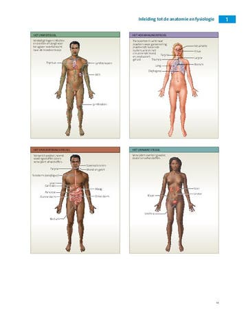 Anatomie en fysiologie een inleiding 9789043035873, Boeken, Studieboeken en Cursussen, Verzenden, Zo goed als nieuw