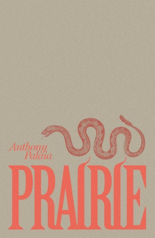 Prairie | Anthony Palaia | Nieuw, Boeken, Hobby en Vrije tijd, Nieuw, Ophalen of Verzenden