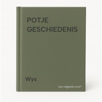 POTJE GESCHIEDENIS - Wys 9789025848118, Verzenden, Gelezen, Wys