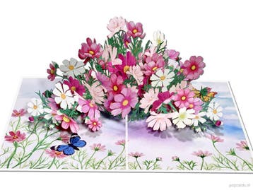 Groot Boeket met fraaie roze Cosmea bloemen pop-up kaart, Verzenden, Nieuw