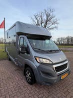 Prachtige Peugeot paardenwagen - 2016 - 56.000M!, Ophalen, Zo goed als nieuw, Polyester, 2-paards trailer