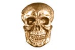 Exclusief wandsculptuur SKULL XXL 40cm gouden decoratieve, Ophalen of Verzenden, Nieuw