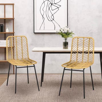 Set van 2 Boheemse Eetkamerstoelen - Synthetisch Rotan, Verzenden, Nieuw, Riet of Rotan, Twee