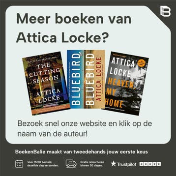 Black Water Rising - Attica Locke 9781846687532, Verzenden, Gelezen, Attica Locke