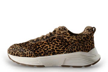 Xsensible Sneakers in maat 40 Panter, Kleding | Dames, Schoenen, Xsensible, Overige kleuren, Verzenden, Sneakers of Gympen