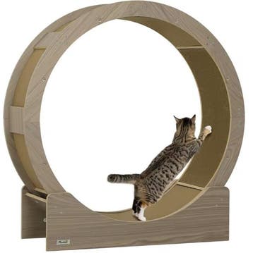 Katten Loopwiel 91cm – Trainingswiel met Rem en Krabmat, Dieren en Toebehoren, Verzenden, Nieuw