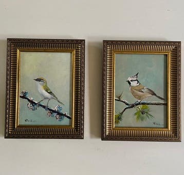henk poeder - Vogeltjes