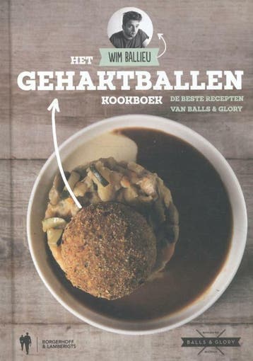 Het gehaktballen kookboek - Wim Ballieu 9789089316172, Verzenden, Gelezen, Wim Ballieu