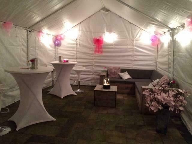 (Zuid-Holland e.o) 4x4 6x4 8x4 10x4 12x4 PVC Partytent huren, Hobby en Vrije tijd, Feestartikelen | Verhuur, Zo goed als nieuw