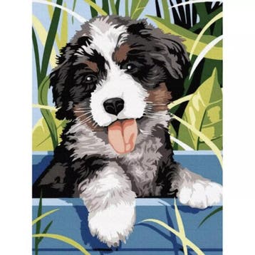Maaleo Schilderen op Nummer: Creëer je Eigen Honden Kunst.., Hobby en Vrije tijd, Schilderen, Ophalen of Verzenden, Nieuw
