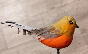 Vogeltje Robin Oranje Rood Brown per stuk, Ophalen of Verzenden, Nieuw