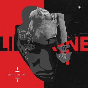 LIL WAYNE - SORRY 4 THE WAIT (2LP), Verzenden, Nieuw in verpakking