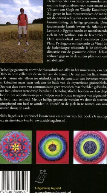 De kunst van de sterren 9789461530592 Niels Bagchus, Verzenden, Zo goed als nieuw, Niels Bagchus