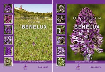 9789080662681 Orchideeen van de Benelux C.A.J. Kreutz, Verzenden, Nieuw, C.A.J. Kreutz