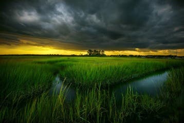 Elena Paraskeva - A Brewing Storm (USA) - XL