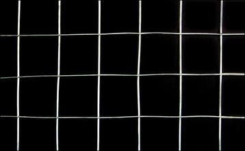 Tuingaas - harmonicagaas - 1x25 m - 1 rol, Verzenden, Nieuw