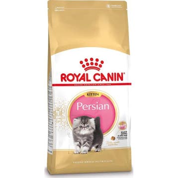 Royal Canin Kitten Persian 32 10 kg (Kattenvoer), Verzenden, Kat