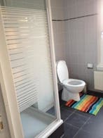 Te Huur Studio Lyonnetstraat In Den Haag, 20 tot 35 m², Den Haag