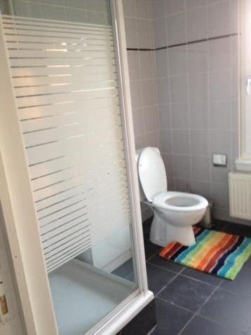 Te Huur Studio Lyonnetstraat In Den Haag, 20 tot 35 m², Den Haag