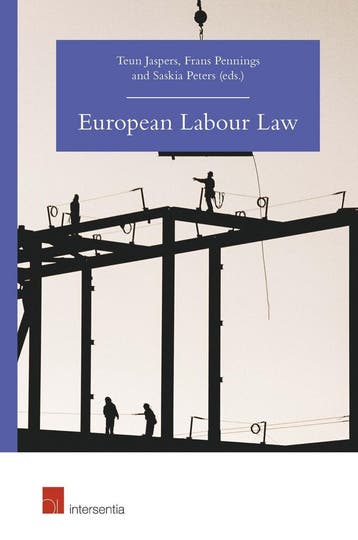 European Labour Law - Teun Jaspers 9781780687049, Verzenden, Gelezen, Teun Jaspers