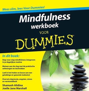 9789043028141 Voor Dummies - Mindfulness werkboek voor Du..., Verzenden, Zo goed als nieuw, Shamash Alidina