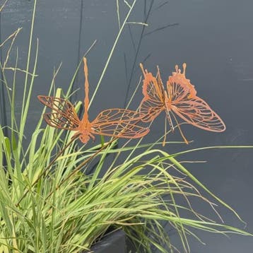 Roestkleurige Libelle & Vlinder Tuinsteker - Sierlijk Decora, Verzenden, Nieuw