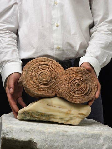 Gefossiliseerd dier - Huge stromatolite on Handcraft Carrara