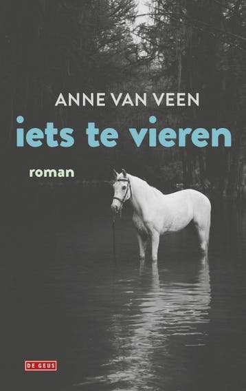 Iets te vieren - Anne van Veen 9789044542141, Boeken, Verzenden, Zo goed als nieuw, Anne van Veen