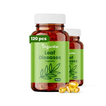 Bladziektecapsules - 120 stuks, Verzenden, Mest