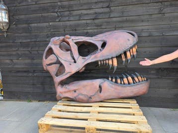 Dinosaurus Schedel - 170cm T-Rex Skull - Wall Decoration -