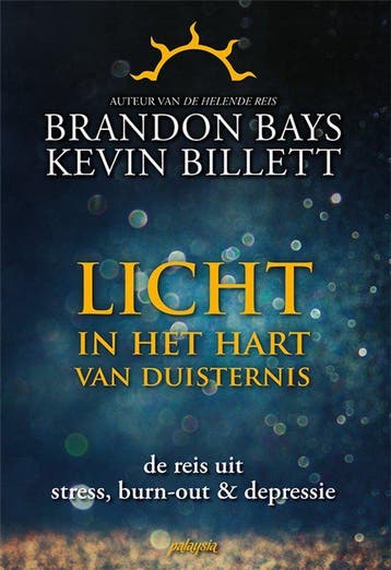 9789492412317 Licht in het hart van duisternis, Boeken, Verzenden, Zo goed als nieuw, Brandon Bays