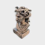 Bust of a Medusa statue - handpainted home decor mythical lo, Verzenden, Nieuw
