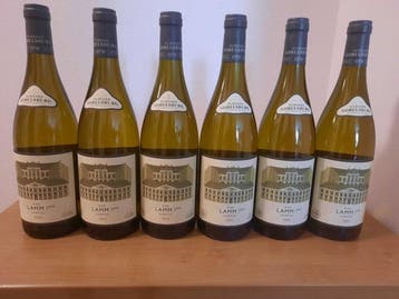 2023 Weingut Schloss Gobelsburg, Grüner Veltliner Kammern, Nieuw
