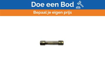 Bieden: Bussmann MDL 1/2 Glass Fuse 0.5A Slow-Moving 5x25mm, Ophalen of Verzenden, Nieuw, Elektra en Verlichting, Zeilboot of Motorboot